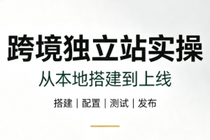 跨境独立站实操:从本地搭建到上线-网创资源站