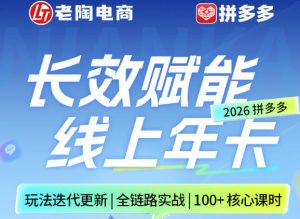 拼多多线上SVIP线上年卡，从认知到基础、从推广到活动、从活动到玩法，全链路实战(260730)-网创资源站