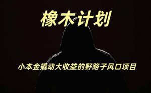橡木计划，小投入撬动高回报的风口野路子项目，一天投入2小时左右-网创资源站