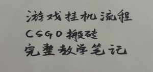 游戏挂机全流程笔记分享，CSGO游戏搬砖，小白看了当天学会见收益-网创资源站