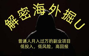 解密海外掘U，普通人月入过万的副业项目，低投入、低风险高回报，没有之一-网创资源站