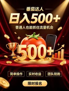 番茄达人日入500+？普通人也能参与？做番茄达人真的可行？零门槛番茄推文，新手也能上手做达人【揭秘】-网创资源站