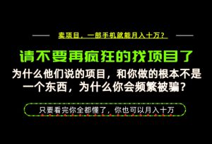 为什么做项目的人大多都是炮灰?为什么只有卖项目才能稳?看完你也可以月入10W+【揭秘】-网创资源站