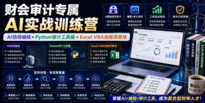 财会审计专属AI实战训练营｜AI协同编程+Python审计工具箱+Excel VBA加载项落地(更新0816)-网创资源站