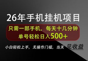 长期稳定可做，只需一部手机！单号轻松日入500+，不搞套路，只讲干货！【揭秘】-网创资源站