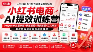 小红书电商AI提效训练营—DeepSeek批量标题+快速混剪+爆款选题+达人玩法，解决新店流量低与出单难题-网创资源站