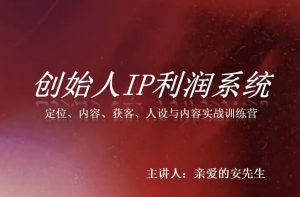 创始人IP利润系统8月训练营,定位、内容、获客、人设与内容实战训练营-网创资源站