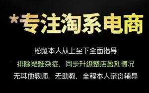 松鼠会电商VIP课程,从基础布局到高阶优化,助你掌握淘宝运营逻辑,提升店铺流量与转化(更新0823)-网创资源站