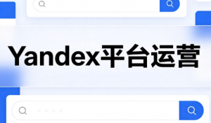 壹壶电商·Yandex平台运营全流程-网创资源站