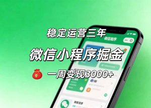 月收益稳定1W+的微信小程序，前期积累客户，后期躺平养老，小白轻松上手-网创资源站