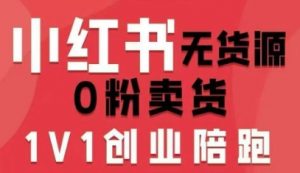 小红书无货源0粉电商课，开店准备、选品策略、笔记撰写、视频剪辑、数据分析、账号打造、资料文档(更新26年8月30日)-网创资源站