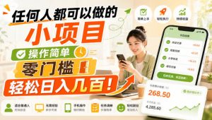 任何人都可以做的小项目：操作简单，零门槛轻松日入几百！【揭秘】-网创资源站