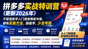 拼多多实战特训营(更新26年0831-网创资源站