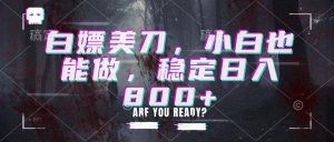 白嫖美刀，小白也能做，稳定日入800+-网创资源站