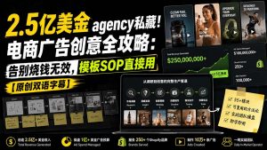2.5亿美金agency私藏！电商广告创意全攻略：告别烧钱无效，模板SOP直接用【原创双语字幕】-网创资源站