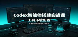 Codex智能体搭建实战课：工具环境配置，自定义技能开发，多业务自动化教学-网创资源站