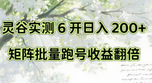 一台电脑就能做！灵谷实测6开日入200+，矩阵批量跑号收益翻倍【揭秘】-网创资源站