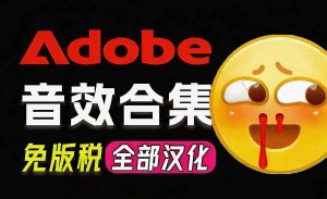 请称爆硬盘!Adobe 和 达芬奇 官方提供的高品质免版税音效库, 10000+ 免费商用音效合集,已离线打包-网创资源站