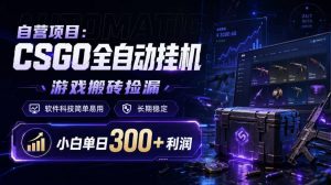 自营项目:CSGO全自动挂G,游戏搬砖捡漏,软件科技简单易用,长期稳定,小白单日300+利润【揭秘】-网创资源站