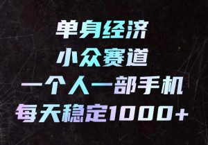 单身经济小众赛道,一个人一部手机,每天稳定1000+,长期可持续的赛道【揭秘】-网创资源站