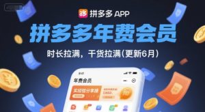 拼多多年费会员,实经验分享操,时长拉满,干货拉满(更新260914)-网创资源站