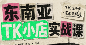 东南亚TK小店实战课(基础+进阶)-网创资源站