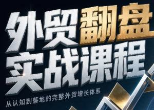 Alisa老师·外贸翻盘实战课程(更新部分)-网创资源站