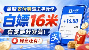 最新支付宝薅羊毛教学，白嫖16米，有需要赶紧薅，现在还有！-网创资源站