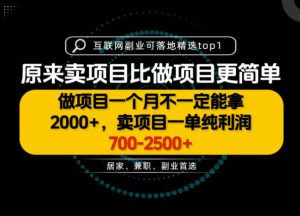 一单利润700-2.5K+,为什么我们要卖项目而不是做项目,我们普通人应该怎样开始?【揭秘】-网创资源站