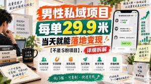 男性私域项目，每单29.9米，当天就能落地变现【不是S粉项目】，详细拆解-网创资源站